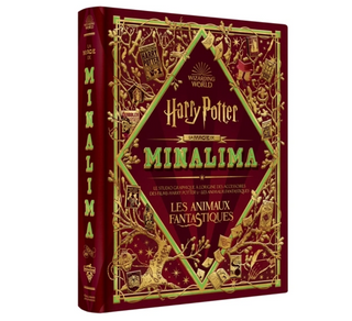 Harry Potter - La Magie de MinaLima | Sorcière et Magie